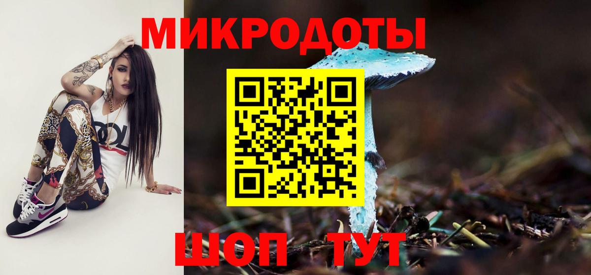 Осинники  закладки  Вход с VPN  Галлюциногенные грибы Psilocybine cubensis 